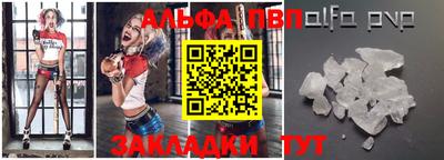 a pvp Кингисепп