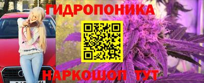 a pvp Кингисепп