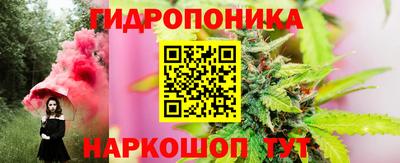 a pvp Кингисепп